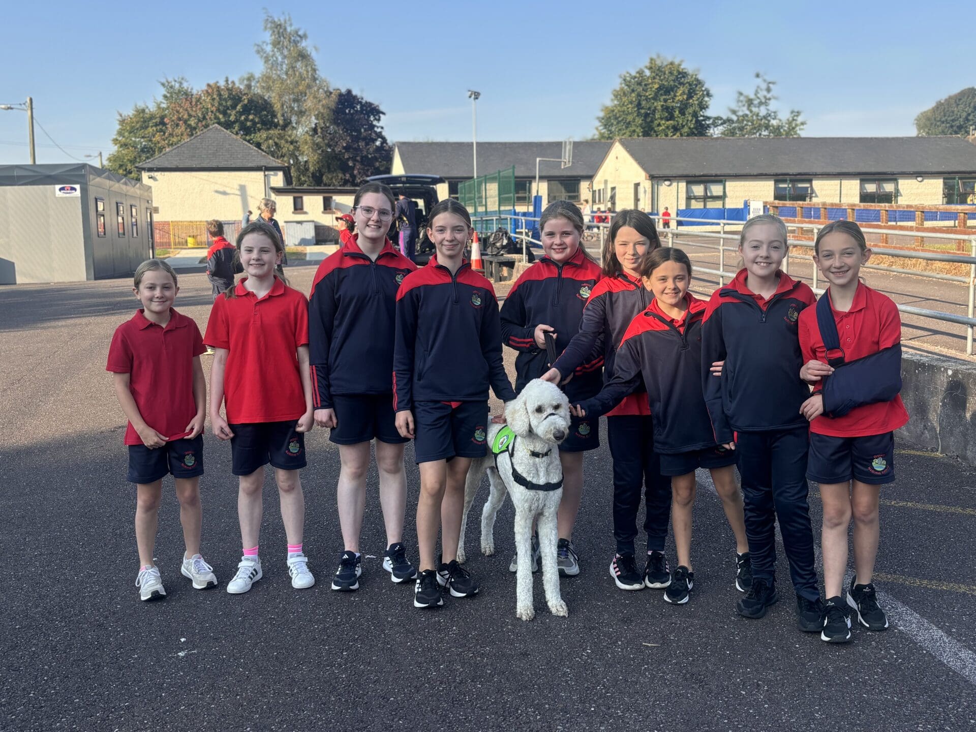 Scoil Mhuire Dripsey | Dripsey NS | Dripsey National School | Dripsey ...